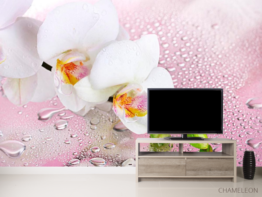 Фотообои Две белых орхидеи - 2