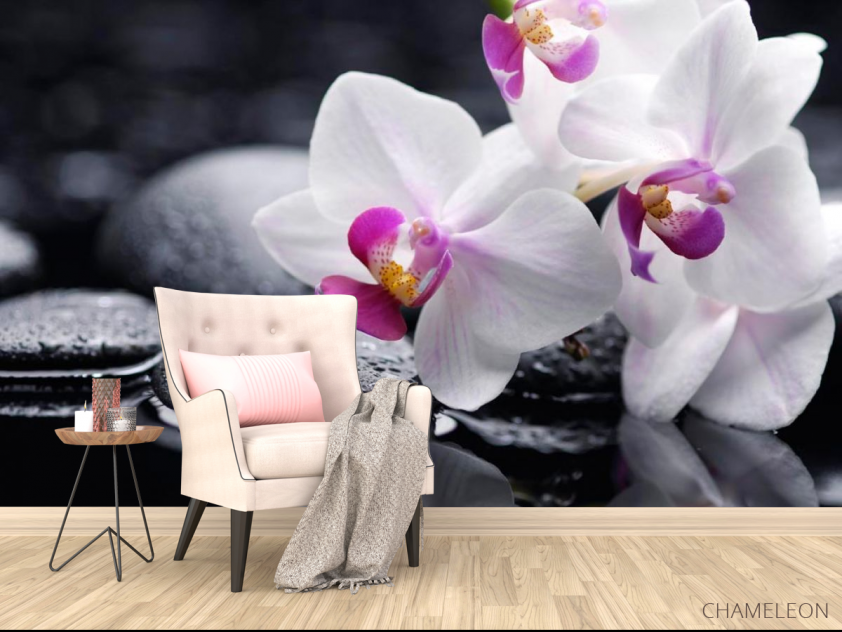 Фотообои Белые с малиновым орхидеи - 4
