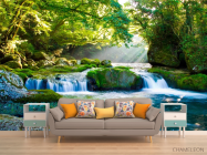 Фотообои Дивный уголок леса - 1