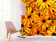 Фотошпалери Квіти жовтого кольору - 4