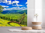 Фотошпалери зелено-блакитна природа - 2