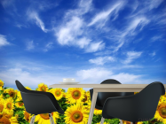 Фотошпалери Соняшники і небо - 1