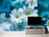 Фотообои Звездчатка - 2