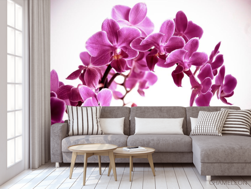 Фотообои Орхидея - 3