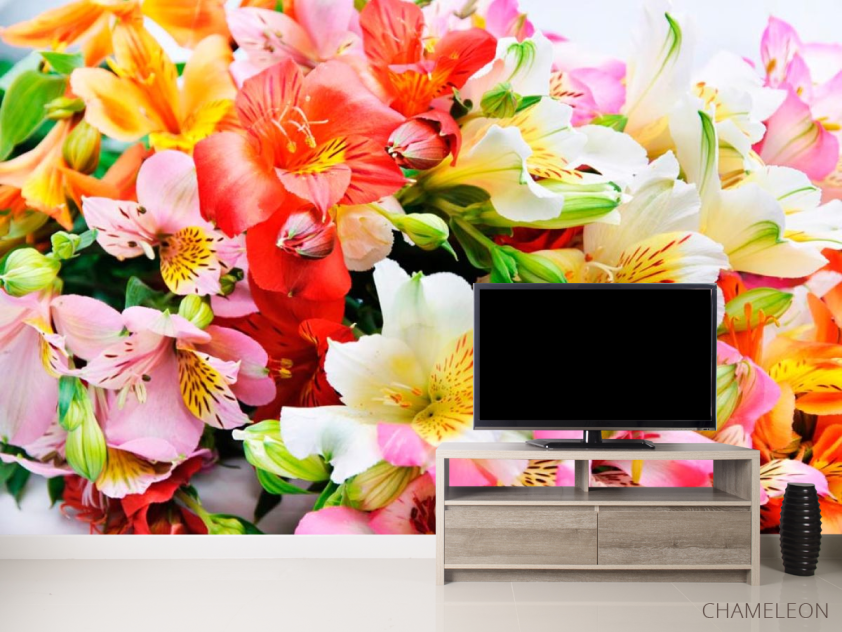 Фотообои Цветник - 2