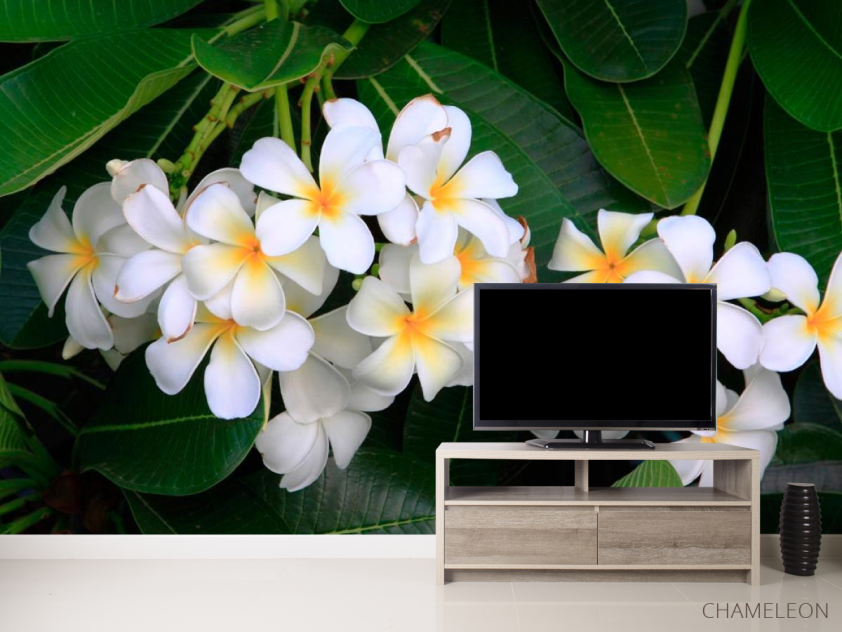 Фотообои Беленькие маленькие цветы - 2