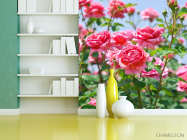 Фотошпалери кущі троянд - 3