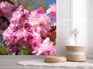 Фотошпалери рожеве цвітіння - 2