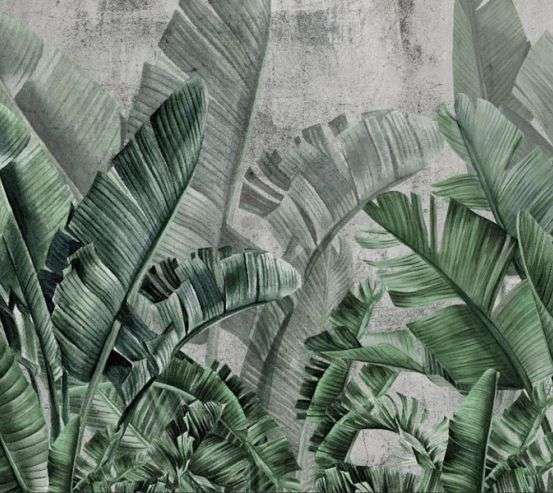 Фотообои Зеленые тропические листья на фоне бетона. Фотообои Зеленые тропические листья на фоне бетона. 33282
