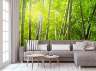 Фотообои бамбуковый лес - 3