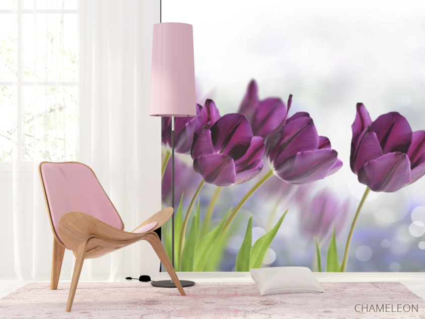 Фотошпалери тюльпани - 4