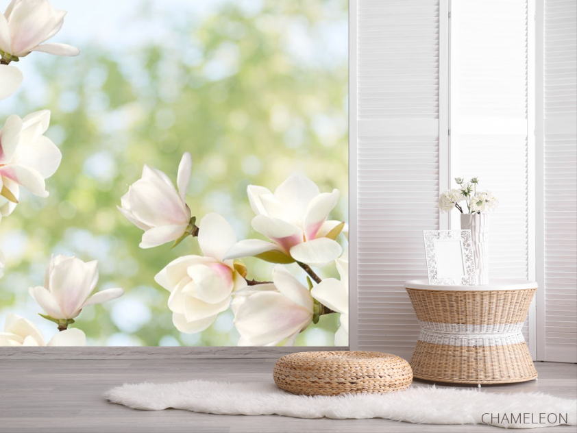 Фотошпалери Квіти магнолії - 2
