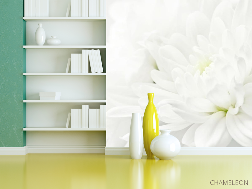 Фотошпалери Білі хризантеми - 3