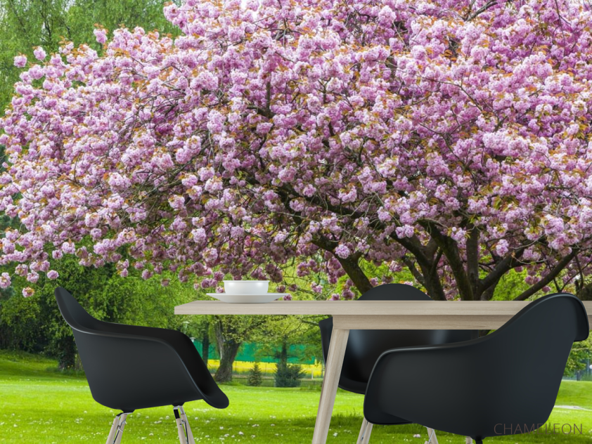 Фотошпалери дерево в кольорі - 1