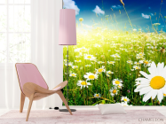 Фотошпалери Схід у ромашкове поле - 4