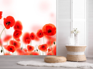 Фотошпалери Маки польові - 2