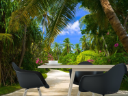 Фотошпалери пальмовий парк - 1