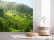 Фотошпалери особняк в лісі - 2