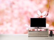 Фотообои Тонколистные цветы - 2