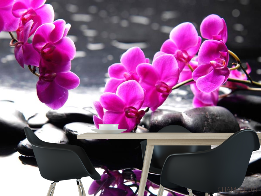 Фотошпалери Рожеві квіти та каміння - 1