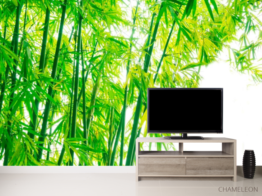 Фотообои Детки, бамбук - 2