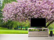 Фотообои дерево в цвете - 2