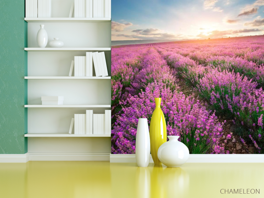 Фотошпалери Лавандове поле - 3