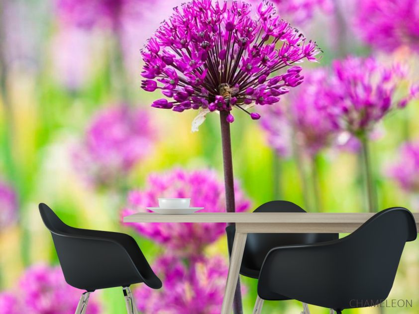 Фотошпалери Фіолетові польові квіти - 1