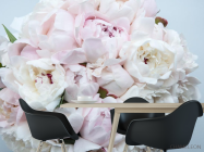 Фотошпалери великий півонія з півоній - 1