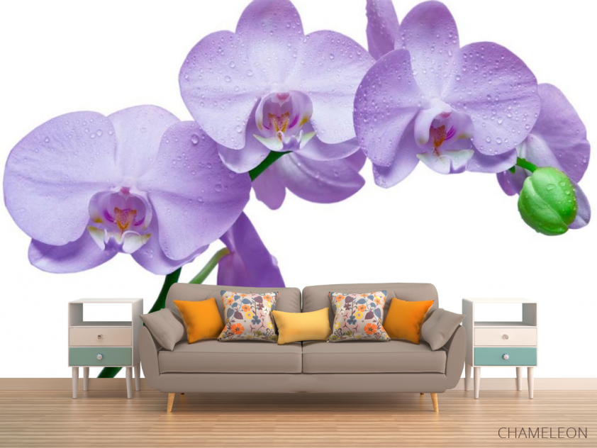 Фотообои Орхидеи сиреневые - 1
