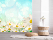 Фотошпалери Білосніжні ромашки - 2