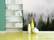 Фотошпалери ліс в тумані - 3