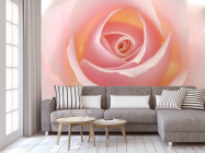 Фотообои Розочка кремовая - 3