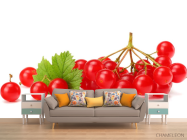 Фотообои калина - 1