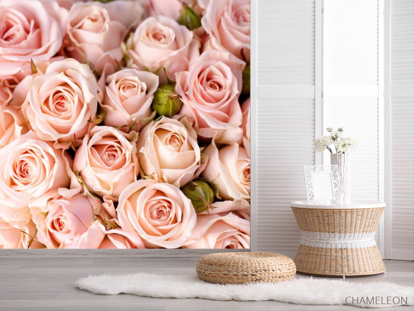 Фотошпалери ніжні рожеві троянди - 2