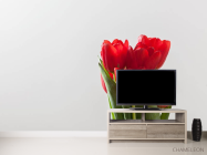 Фотообои красные тюлипаны - 2