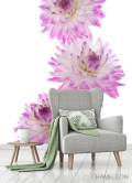 Фотообои Пион сиреневый - 3