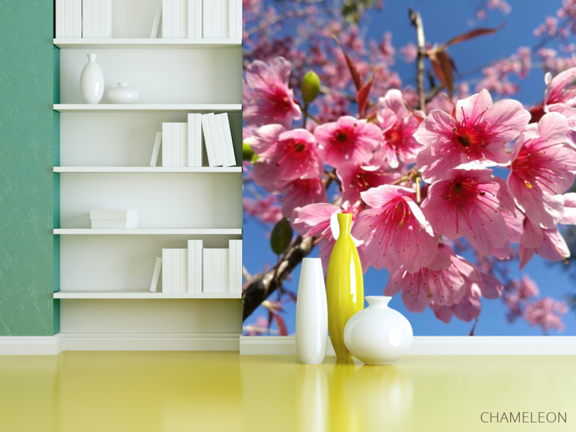 Фотошпалери сакура - 3