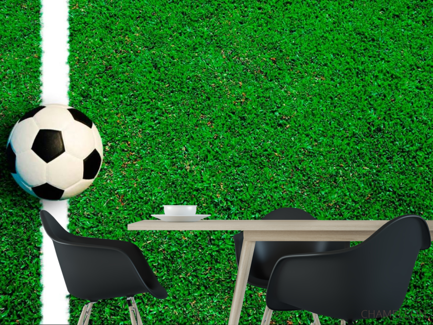 Фотошпалери М'яч на лінії - 1