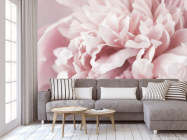 Фотообои Пион макро - 3