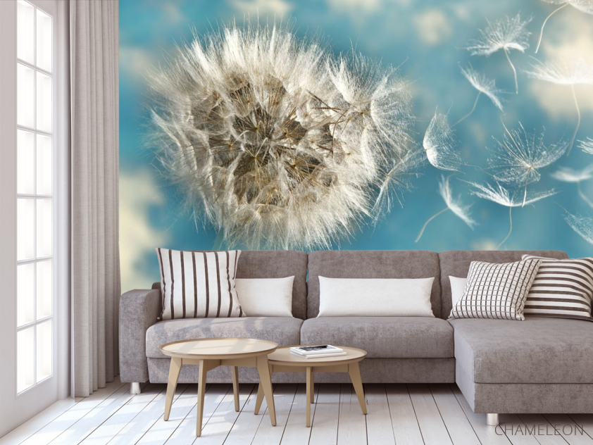 Фотообои одуванчики - 3