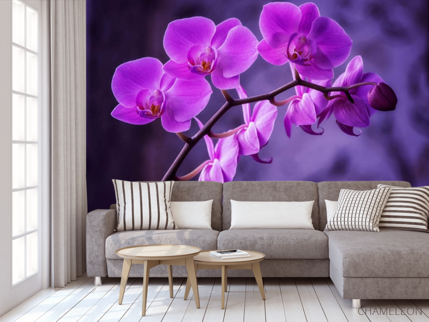 Фотообои орхидея - 3