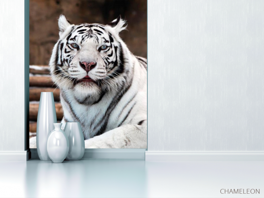 Фотообои Белый тигр - 1