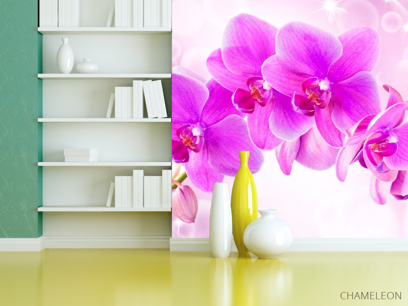 Фотошпалери Орхідеї - 3