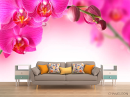 Фотообои Веточка орхидей розовых - 1