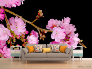 Фотообои Соцветия персика - 1