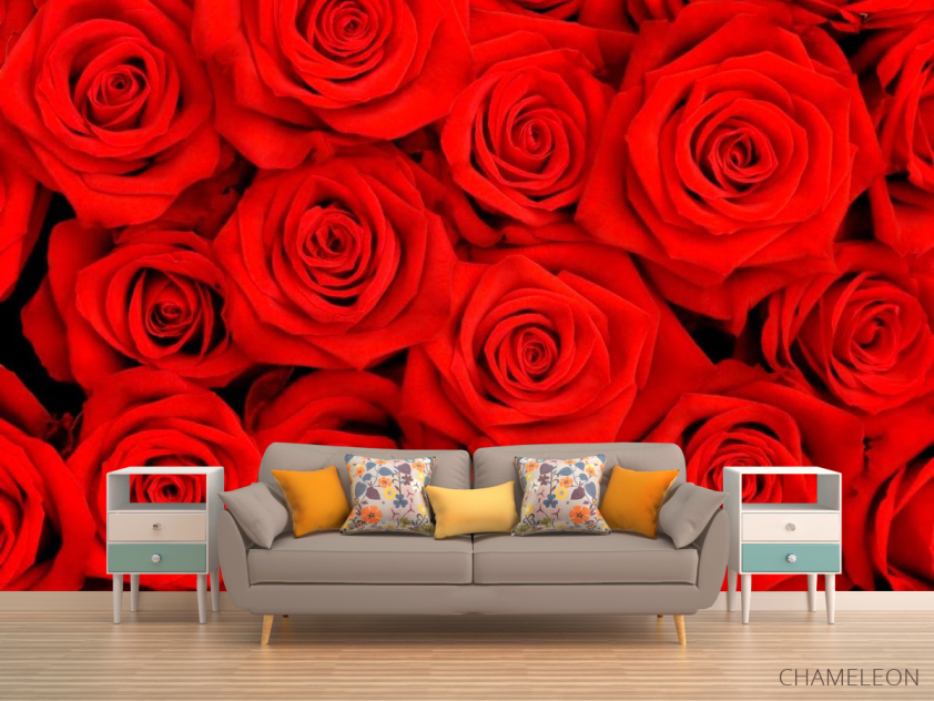 Фотообои Розы ярко-алые - 1