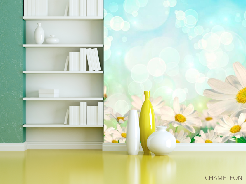 Фотошпалери Білосніжні ромашки - 3