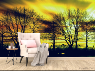 Фотообои желтое небо за деревьями - 4