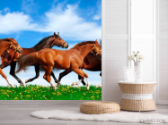 Фотошпалери Табун біжать коней - 2